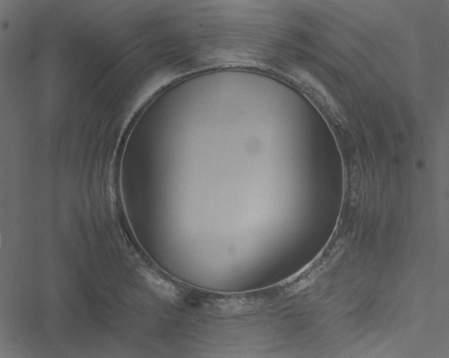 X0000051241182200506171102