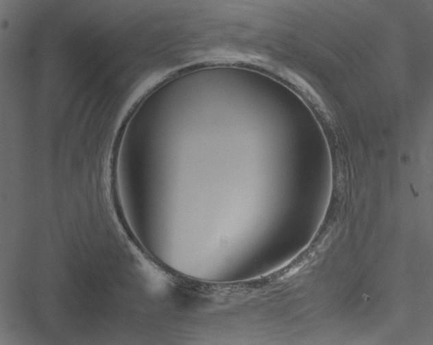 X0000051241183200506171102