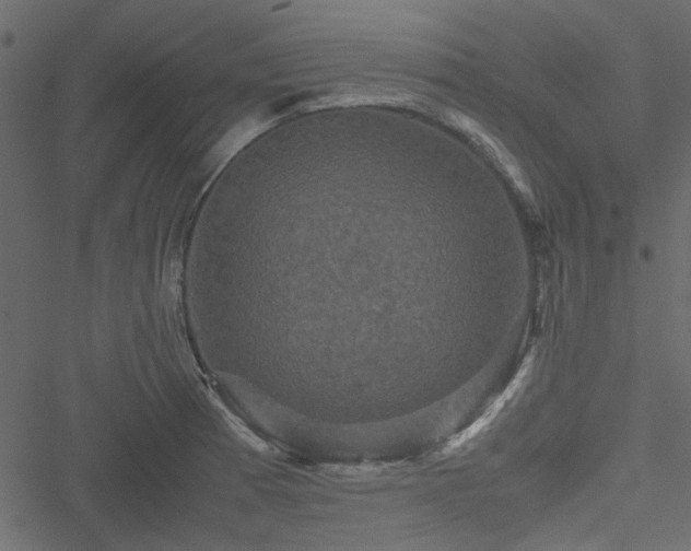 X0000051241185200506171102