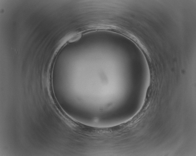 X0000051241187200506171102