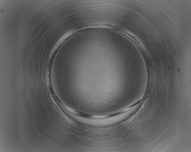 X0000051241188200506171102