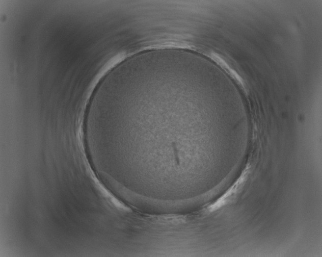 X0000051241189200506171102