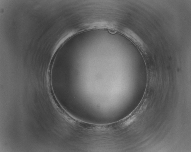 X0000051241190200506171102