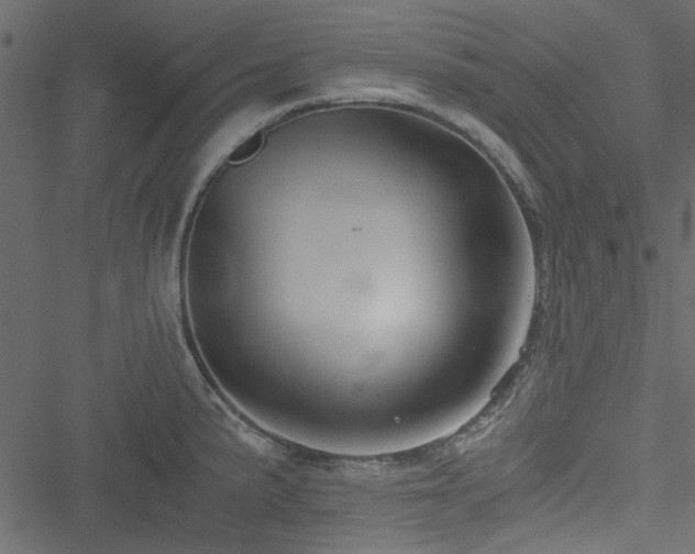 X0000051241191200506171102