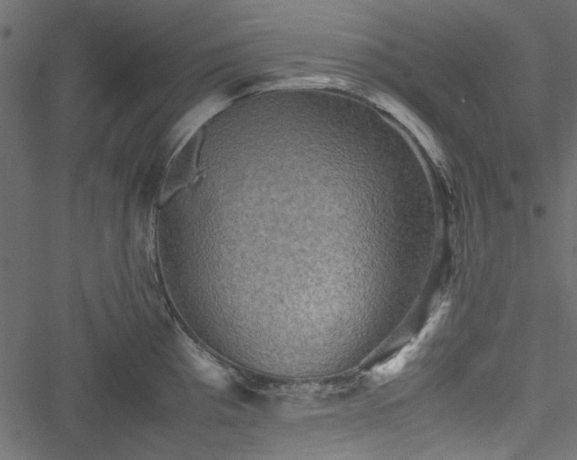 X0000051241193200506171102