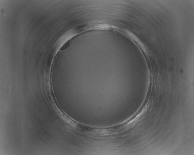 X0000051241194200506171102