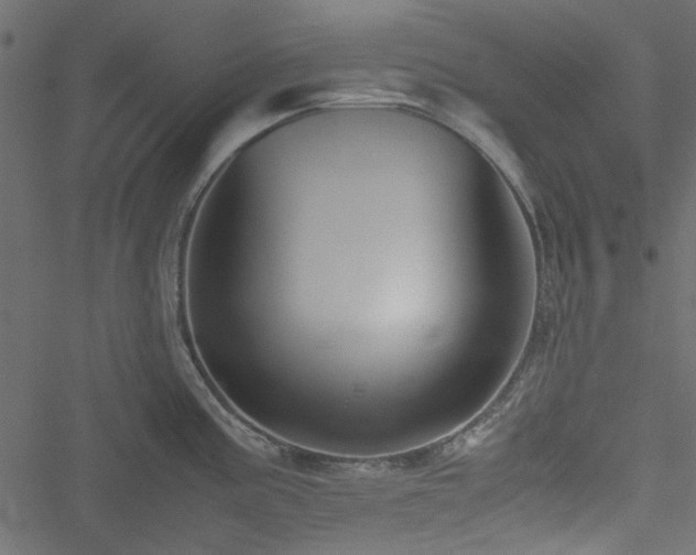 X0000051241195200506171102