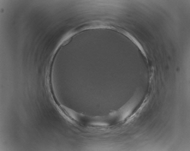 X0000051241197200506171102