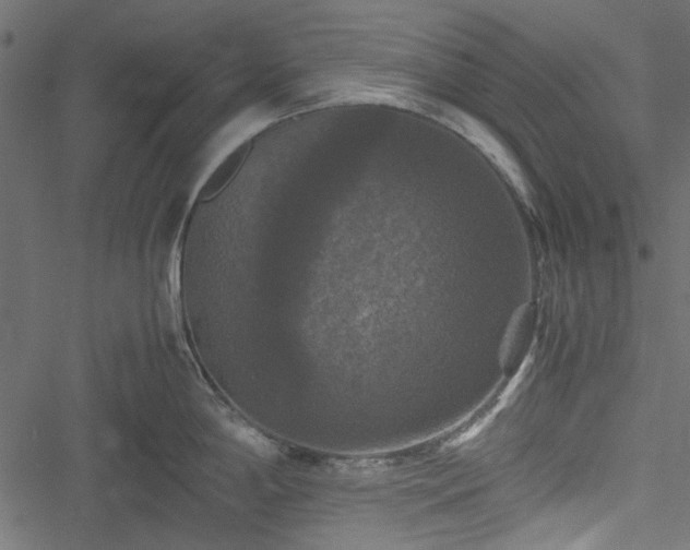 X0000051241198200506171102