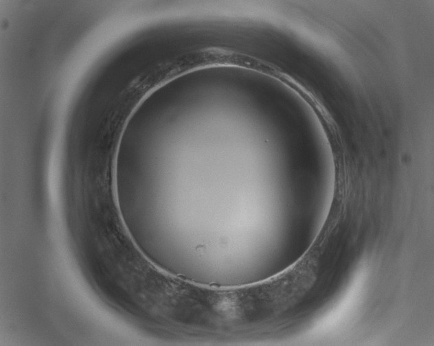 X0000051241199200506171102