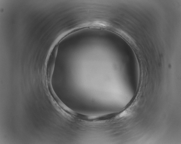 X0000051241200200506171102