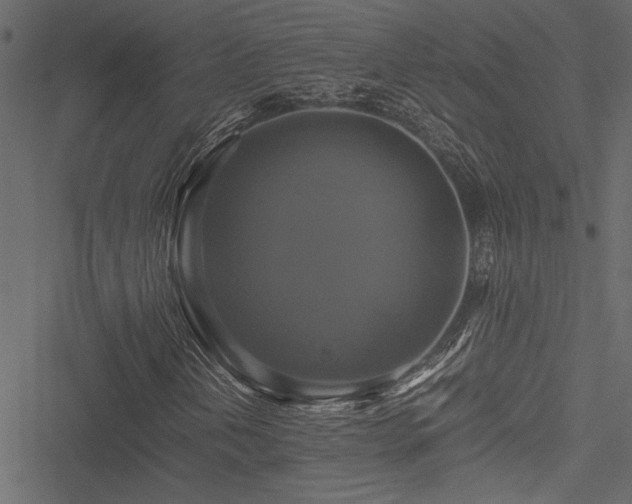 X0000051241202200506171101