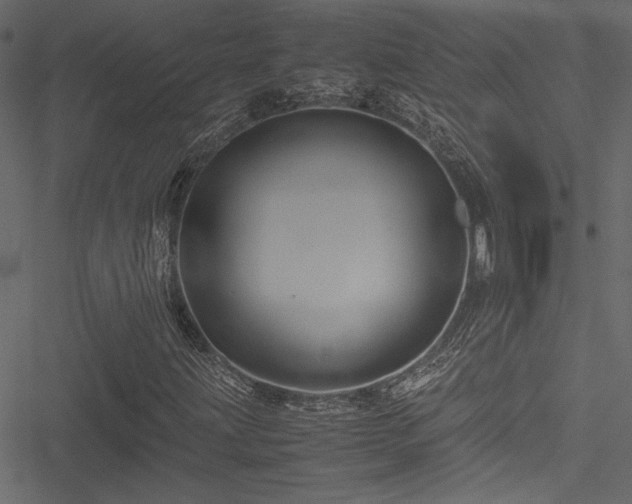 X0000051241203200506171101