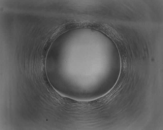 X0000051241204200506171101