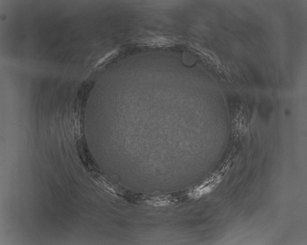 X0000051241205200506171101