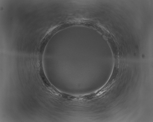 X0000051241206200506171101