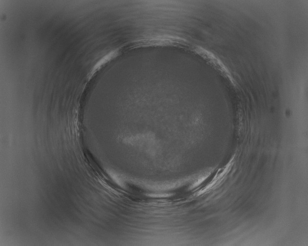 X0000051241210200506171101