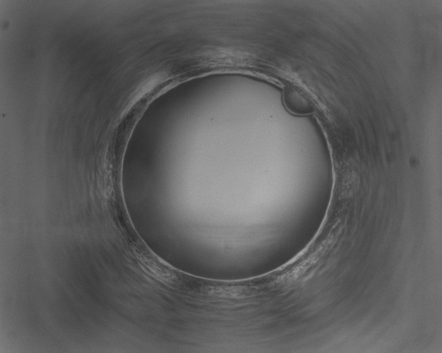 X0000051241211200506171101