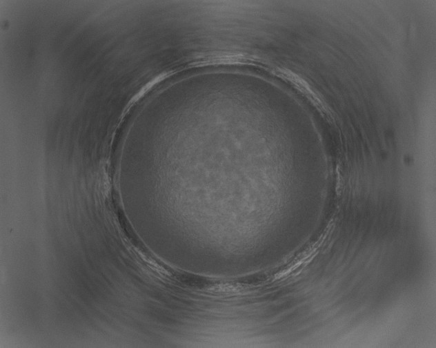 X0000051241212200506171102