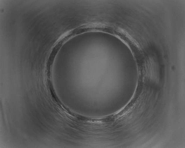 X0000051241213200506171102