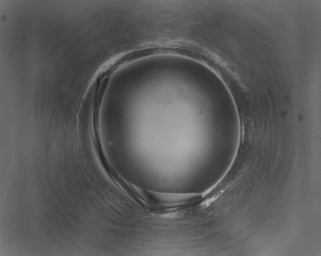 X0000051241214200506171102