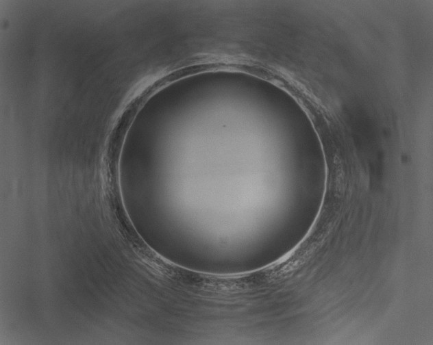 X0000051241215200506171102