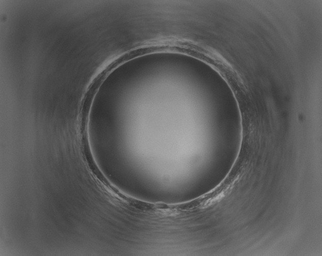 X0000051241216200506171102