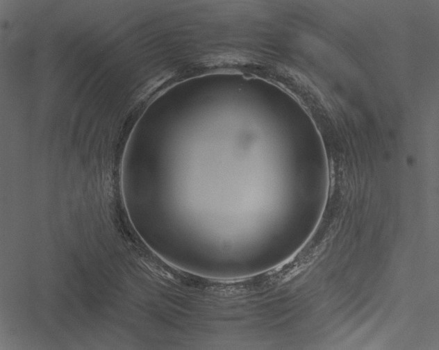 X0000051241217200506171102