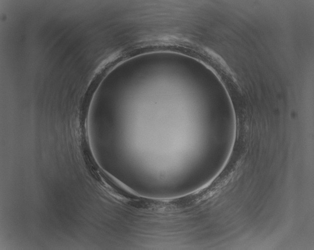 X0000051241218200506171102