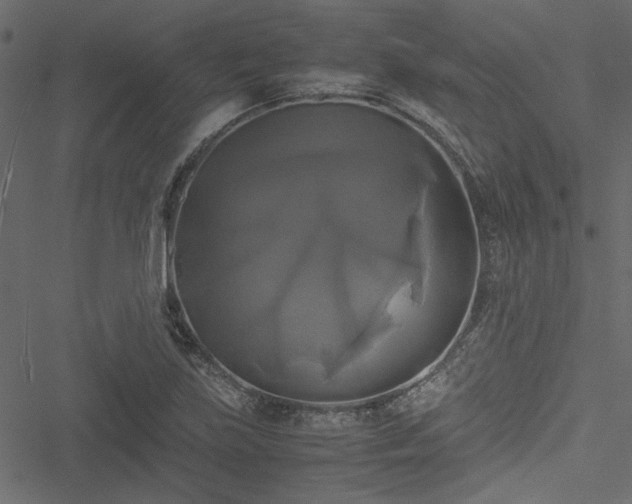 X0000051241219200506171102