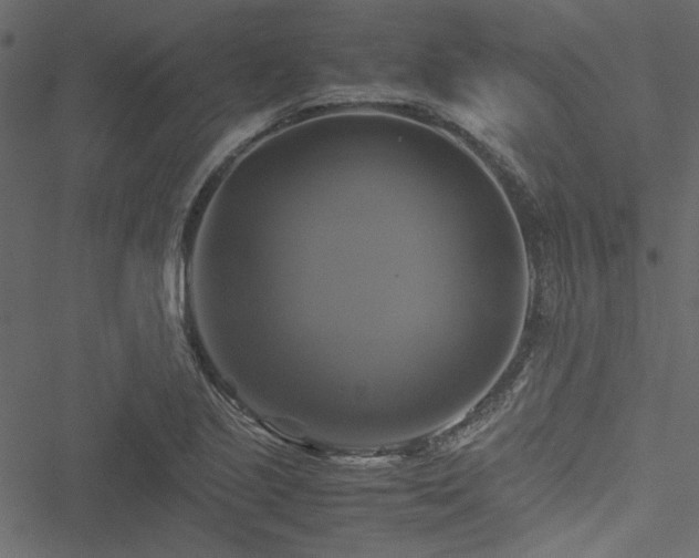 X0000051241221200506171102