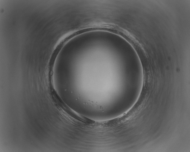 X0000051241222200506171102