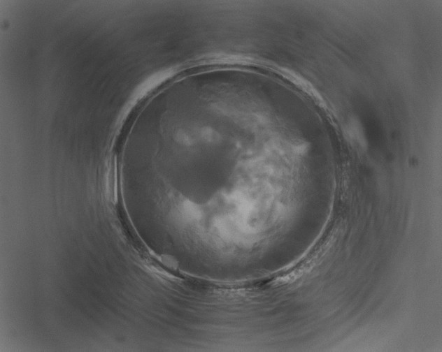 X0000051241223200506171102