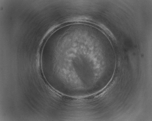 X0000051241224200506171102