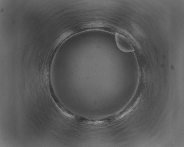 X0000051241225200506171102