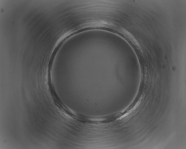 X0000051241226200506171102