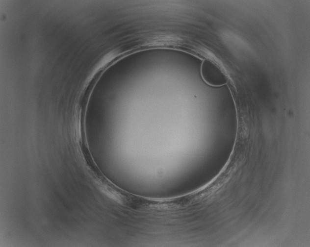 X0000051241227200506171102