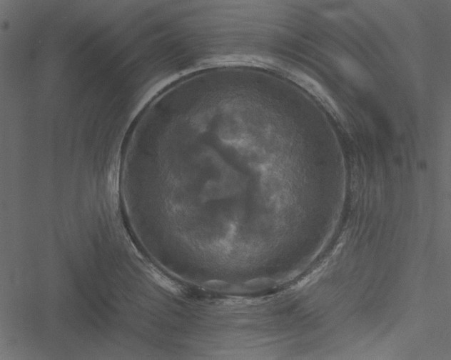 X0000051241228200506171102