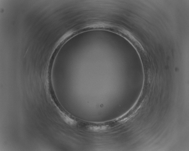 X0000051241229200506171102