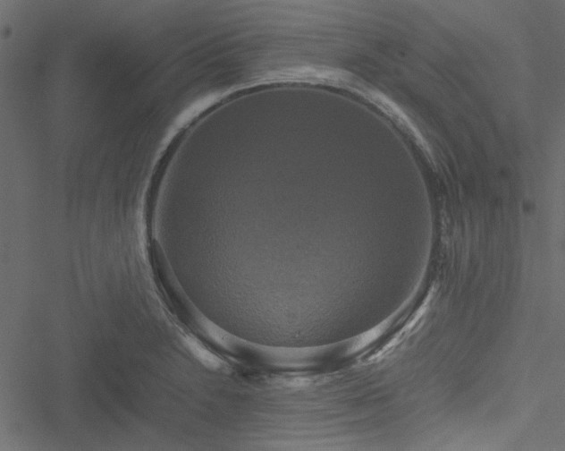 X0000051241230200506171102