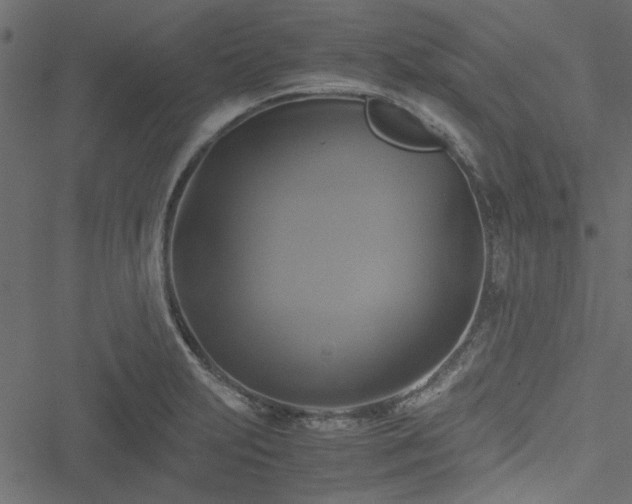 X0000051241231200506171102