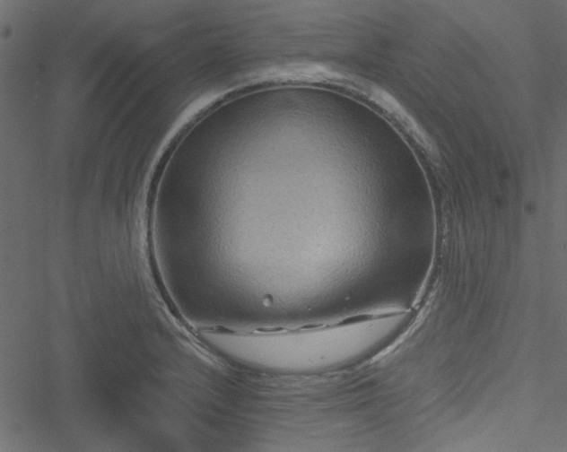 X0000051241232200506171102