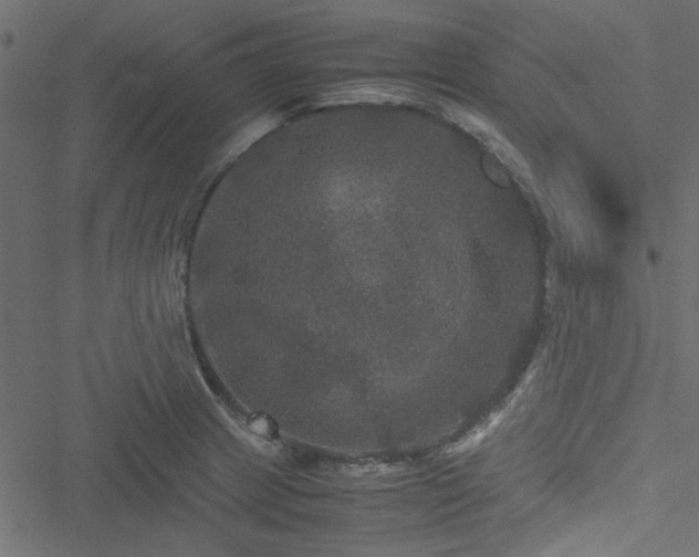 X0000051241233200506171102