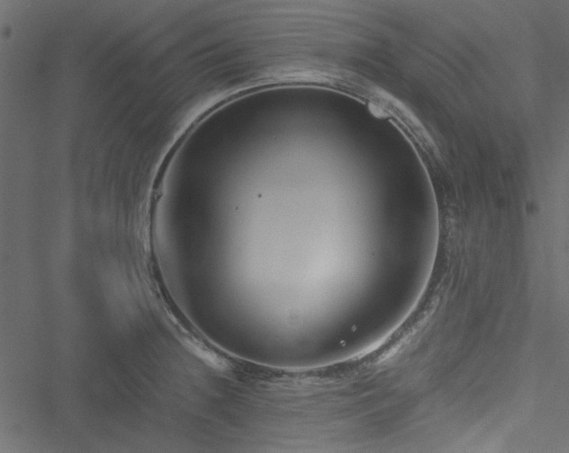 X0000051241236200506171102