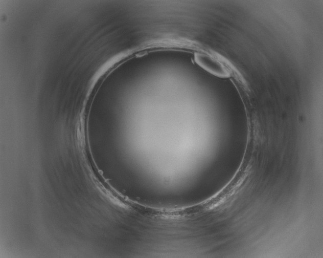 X0000051241238200506171102