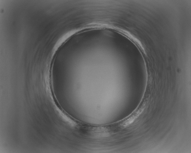 X0000051241239200506171102