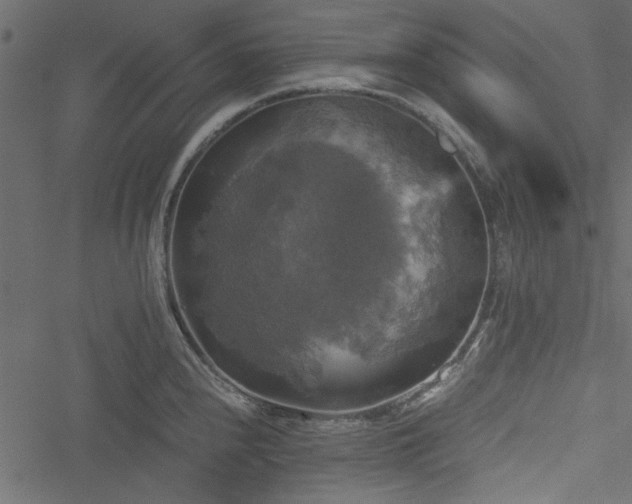 X0000051241240200506171102