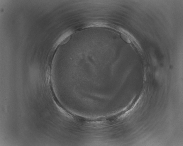 X0000051241241200506171102