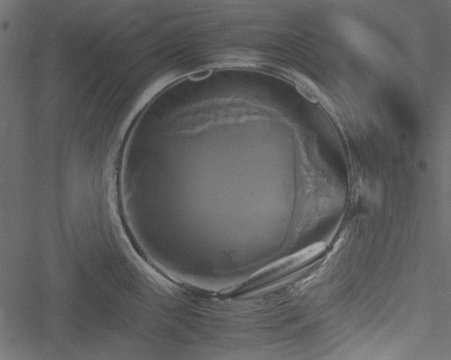 X0000051241243200506171102