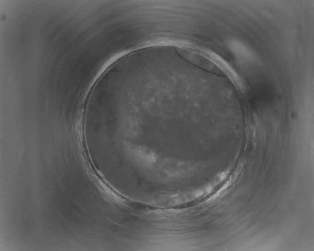 X0000051241244200506171102